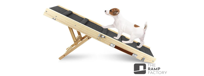 Dog Ramp