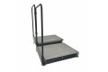 Double half step with handrails 