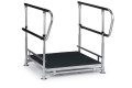 Half step with double handrails