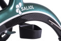 Saljol walking stick holder