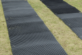 Trackguard mat on grass 