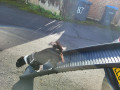 dog running down folding dog ramp from boot