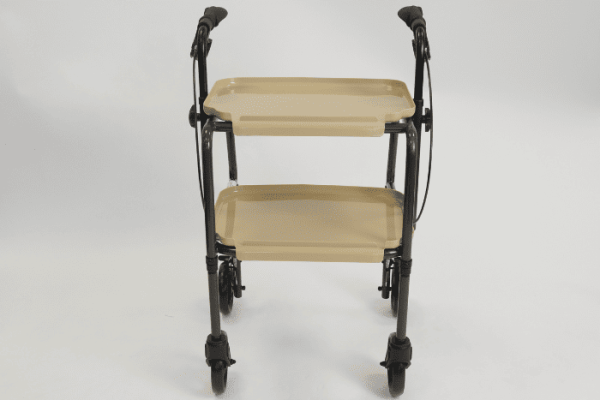 Height adjustable trolley with brakes and two trays 