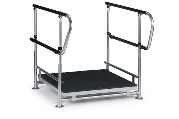 Half step with double handrails