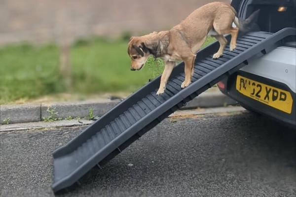 portable plastic ramp 