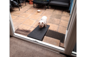 Dog ramp for back door shop