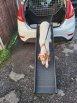 dog going down black folding pet ramp