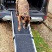 Luxury Telescopic Dog Ramp for Cars (1800mm x 90kg capacity)