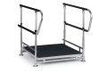 Half step with double handrails 