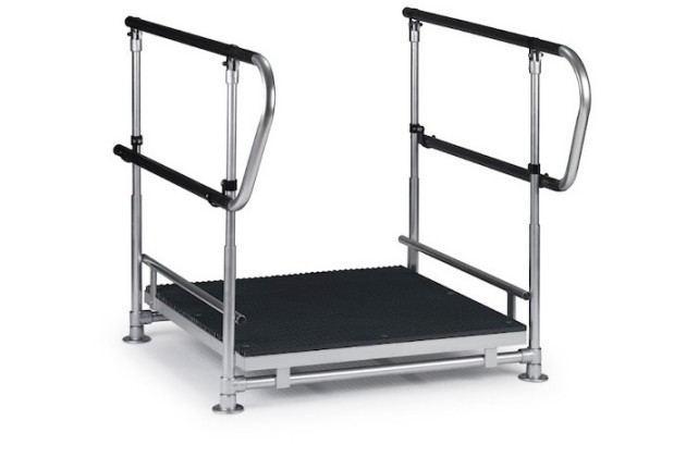 Half step with double handrails
