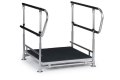Half step with double handrails 