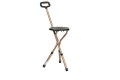 Walking stick with seat