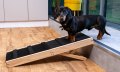 Adjustable Dog Ramp for Bed