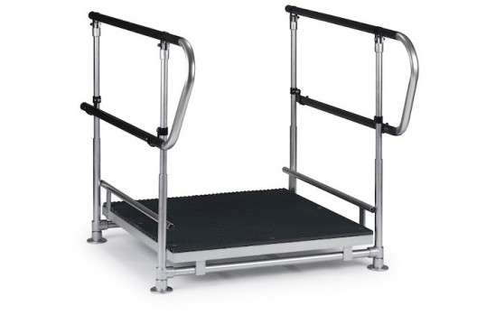 Half step with double handrails