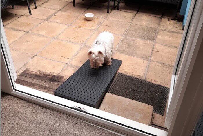 Dog walking up rubber dog ramp to overcome upvc door step