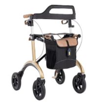 Walking support