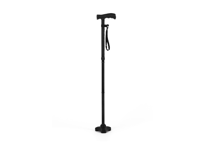 black walking stick